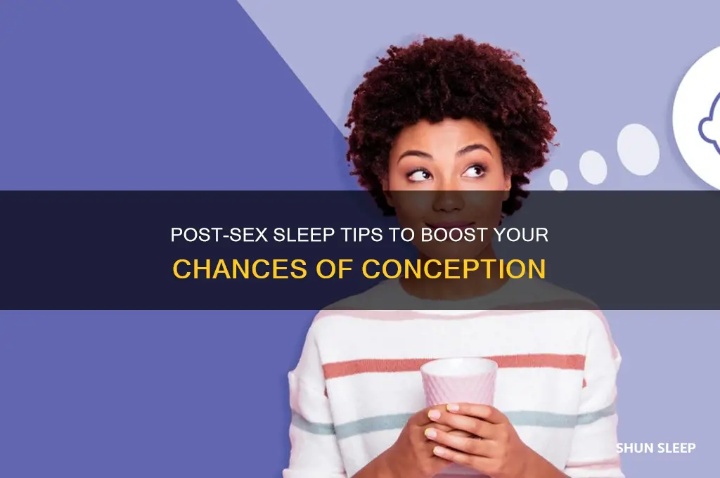 how to sleep after having sex to get pregnant