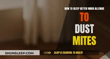 Battling Dust Mites: A Guide to Better Sleep