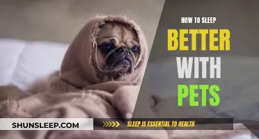 Pets and Sleep: Tips for a Peaceful Night
