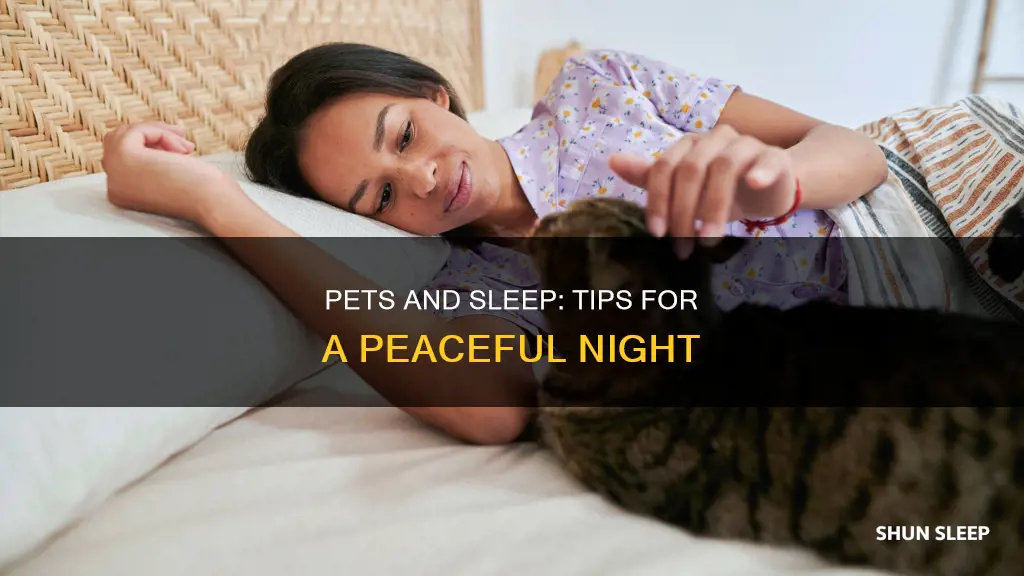 how to sleep better with pets