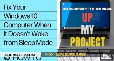 Sleep Your Computer, Keep Your Project: A Guide