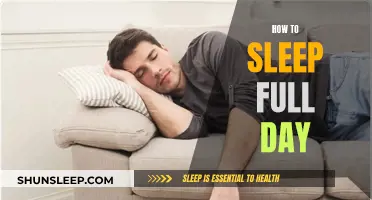 Sleep All Day: Mastering the Art of Slumber