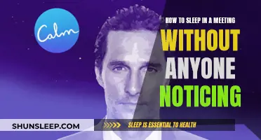 Meeting Naps: Strategies for Stealthy Snoozing at Work