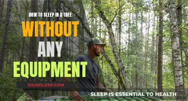 Climbing Trees: Sleeping Securely Without Any Equipment