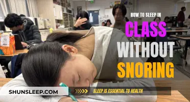 The Art of Sleeping in Class: No Snoring Allowed