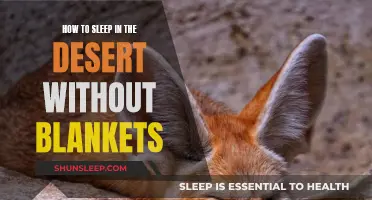 Surviving Desert Nights: Tips for Sleeping Without Blankets