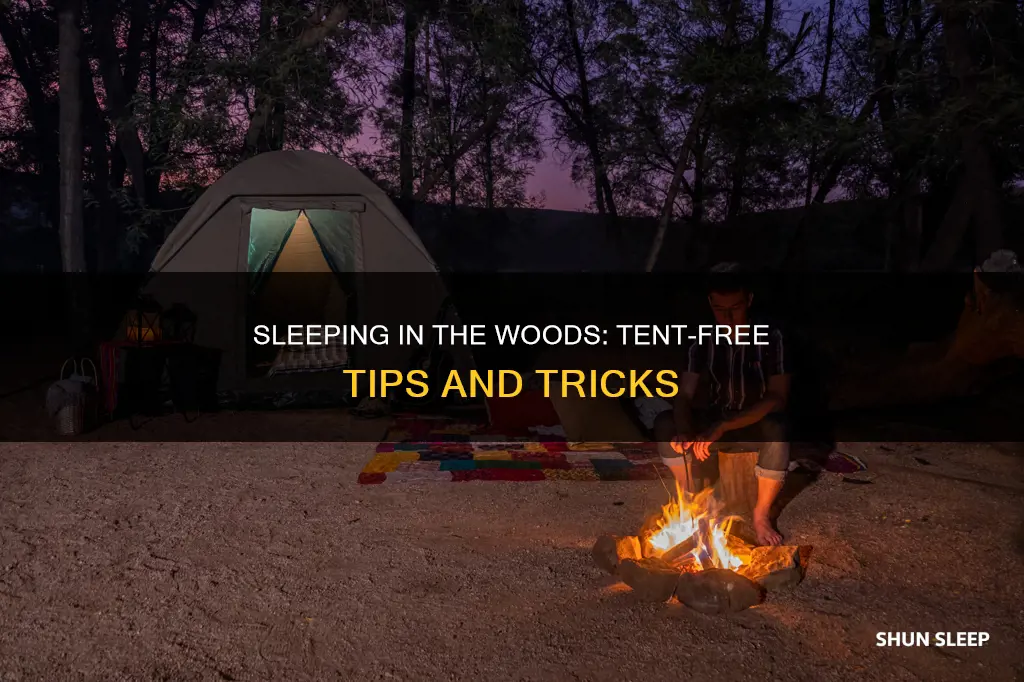 how to sleep in the woods without a tent