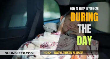 Car Camping: Daytime Sleep Strategies for Stealth and Comfort