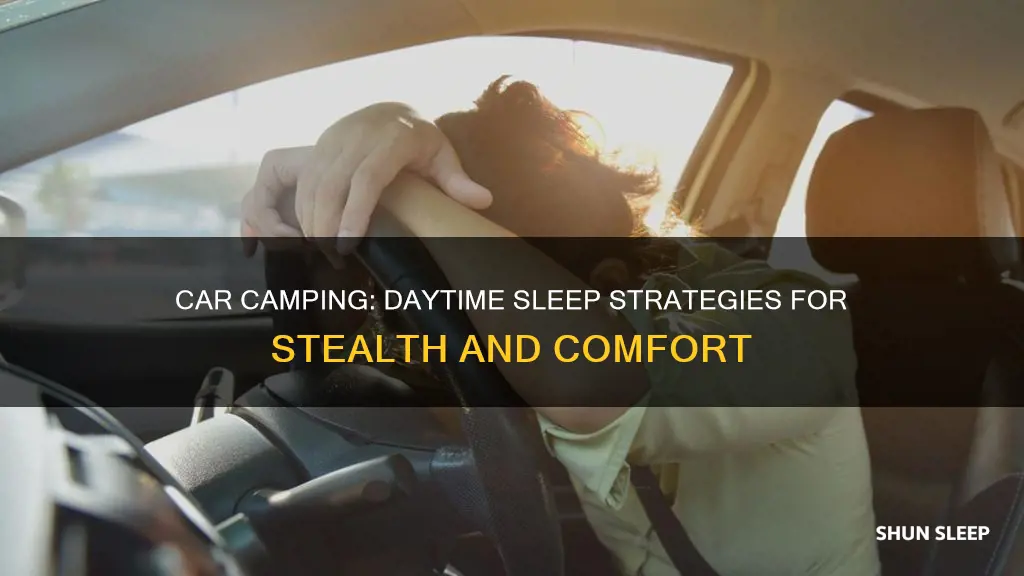 how to sleep in your car during the day