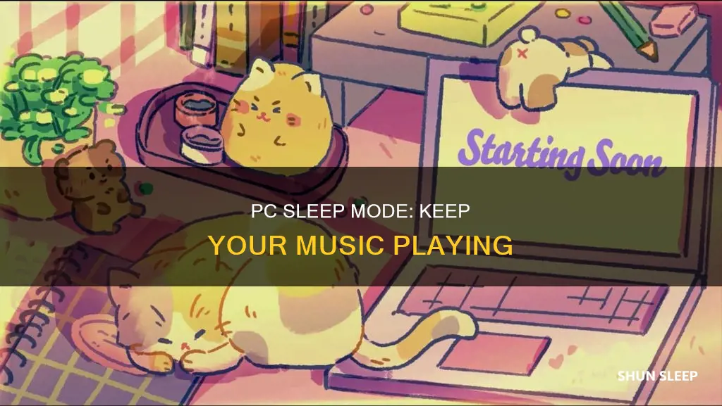 how to sleep my pc screen without music turning off
