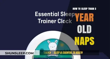 Sleep Training Toddlers: Mastering Naps at 2 Years Old