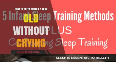 Sleep Training Your Toddler: No Tears, Just Zzzs