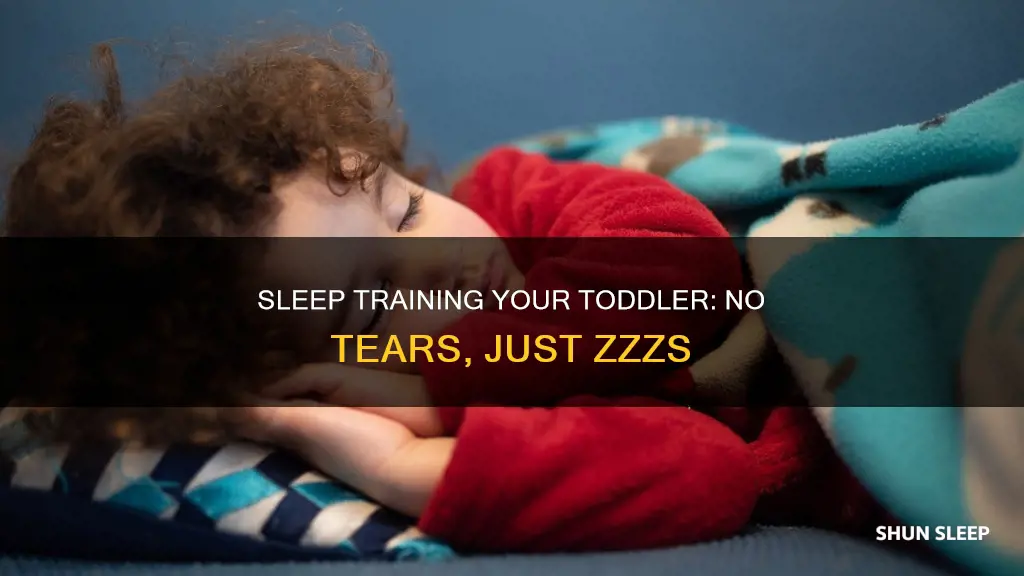 how to sleep train a 1 year old without crying