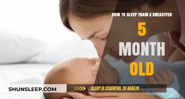 Sleep Training Your Breastfed 5-Month-Old: A Guide