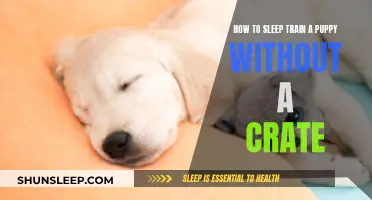 Sleep Training Your Puppy: Crate-Free Methods for Success