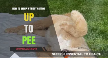Sleep Soundly Through the Night: Tips to Avoid Midnight Bathroom Trips