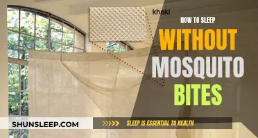 Protecting Your Sleep: Avoiding Mosquito Bites