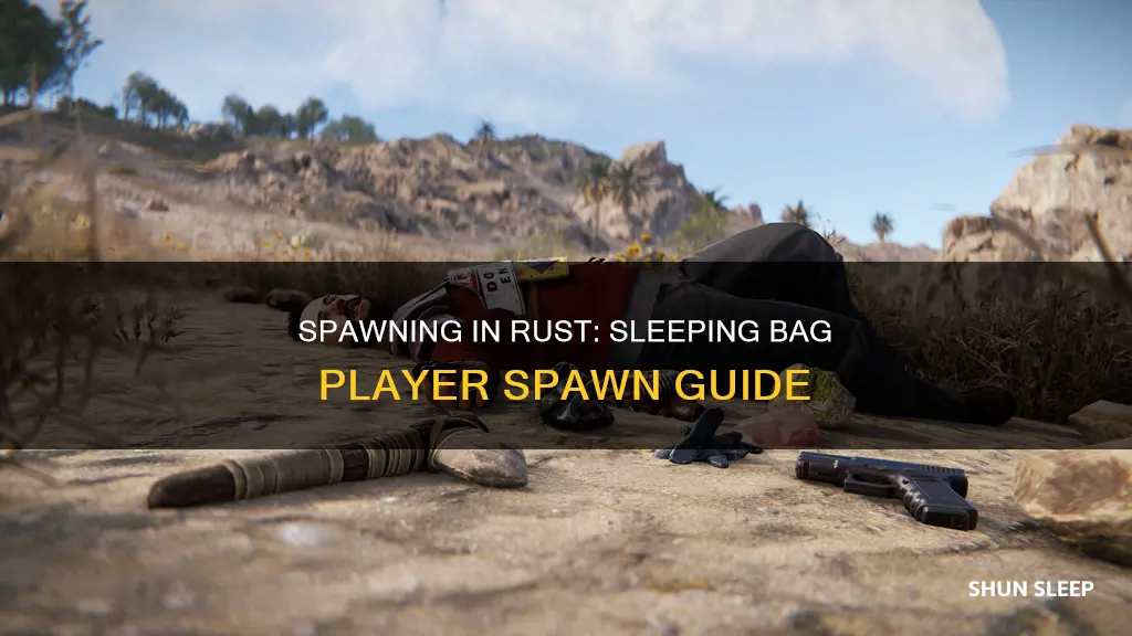 how to spawn a player in a sleeping bag rust