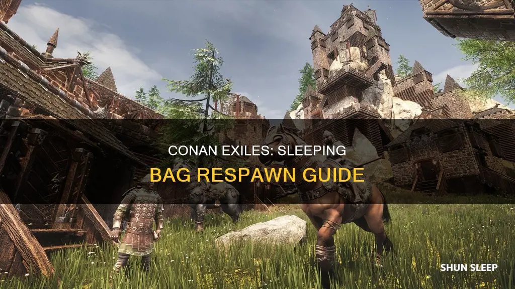 how to spawn on sleeping bag conan exiles