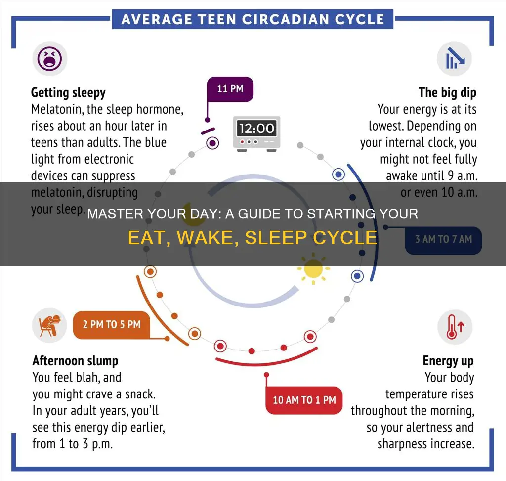 how to start eat wake sleep cycle