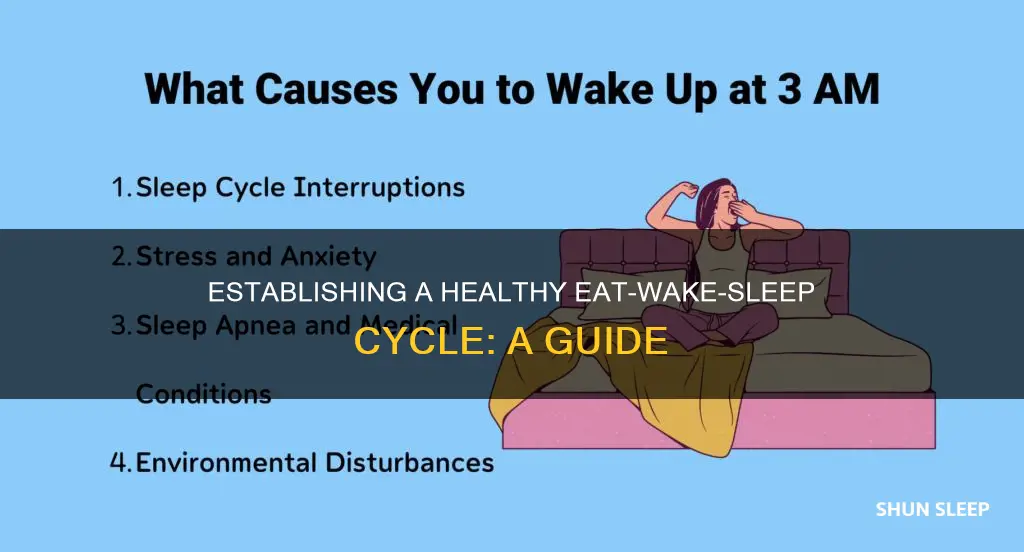 how to start eat wake sleep cycle