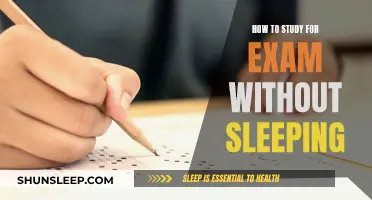 Study Strategies for Exam Success Without Sacrificing Sleep