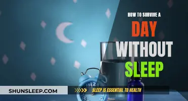 Surviving Sleepless: Strategies for a Day Without Sleep