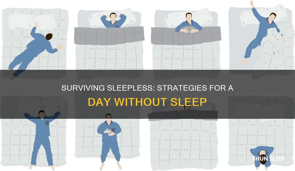 how to survive a day without sleep