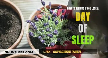 Surviving a Sleepless Night: Strategies to Stay Awake