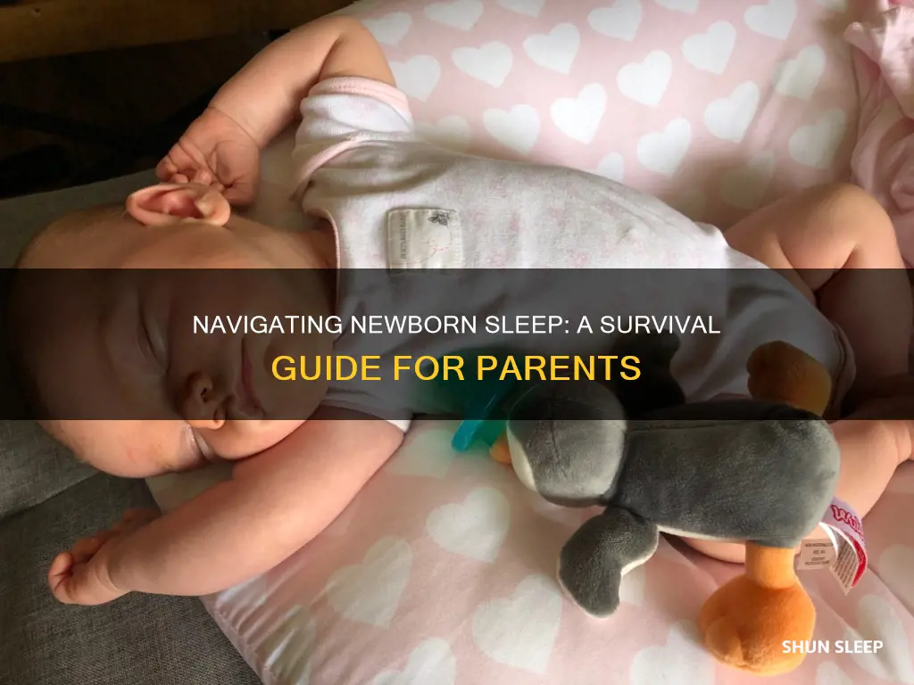 how to survive newborn sleep