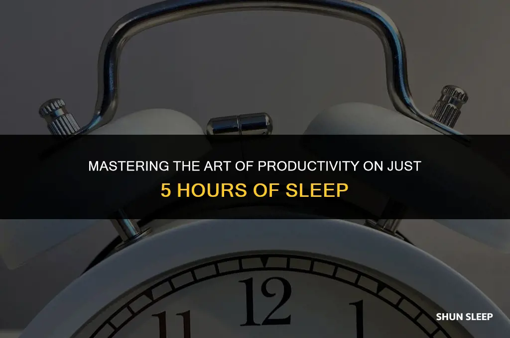 how to survive on 5 hours of sleep