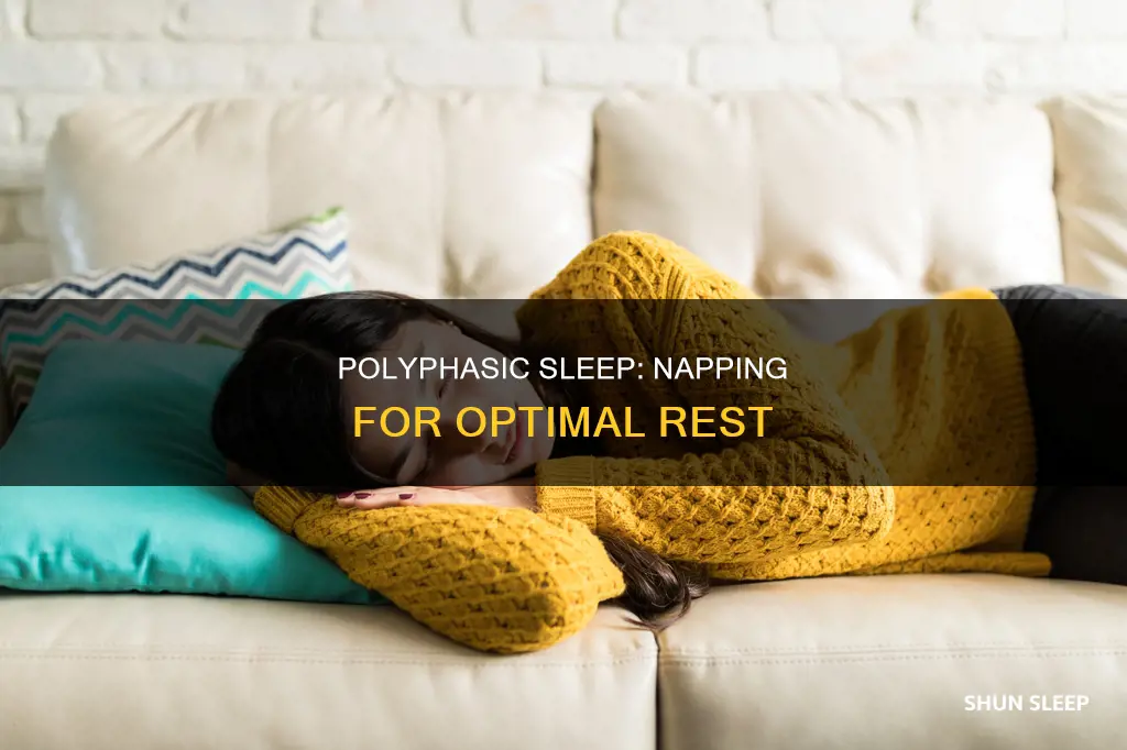 how to tak enaps in polyphasic sleep