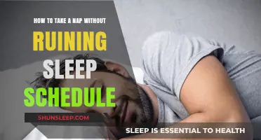 Napping: Mastering the Art of Daytime Sleep