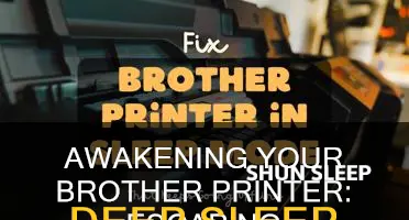 how to take brother printer off deep sleep