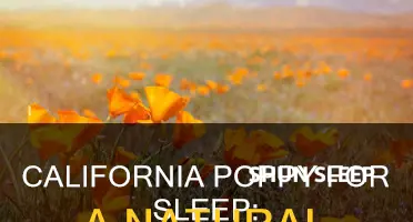 how to take california poppy for sleep