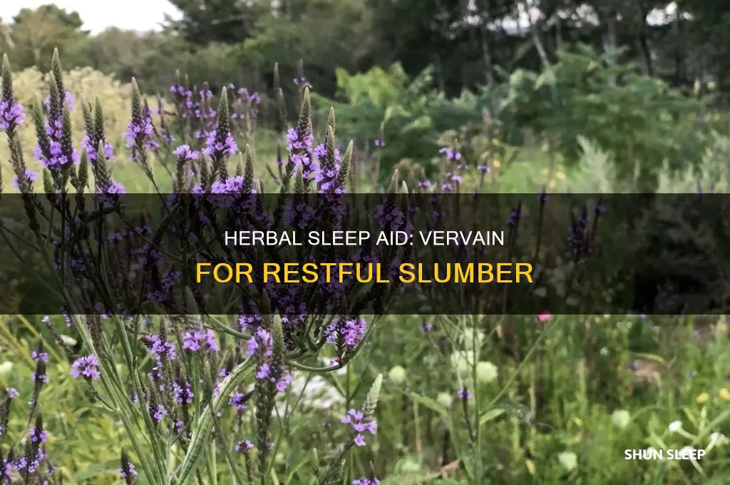 how to take vervain for sleep