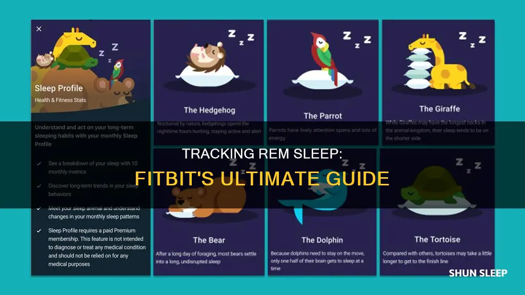 how to track rem sleep on fitbit