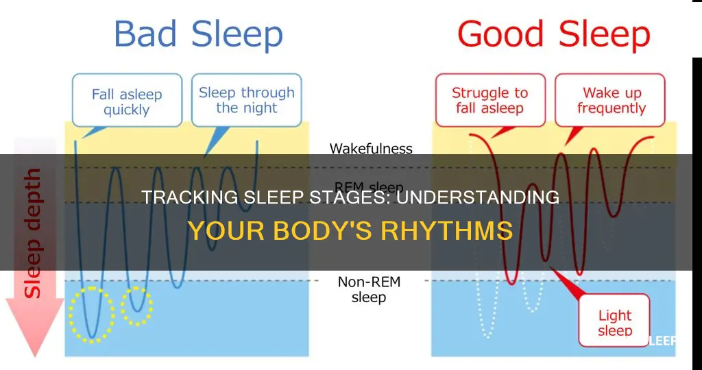 how to track sleep stages