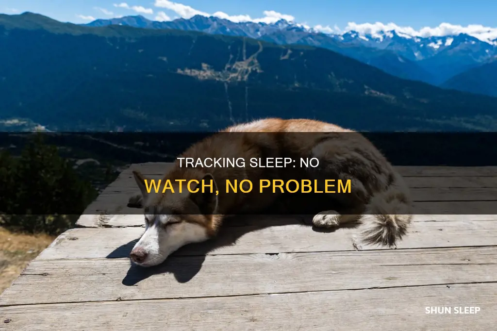 how to track your sleep without a watch