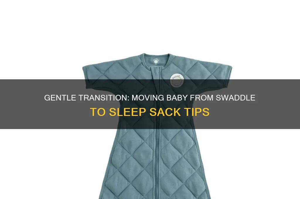 how to transition a baby from swaddle to sleep sack