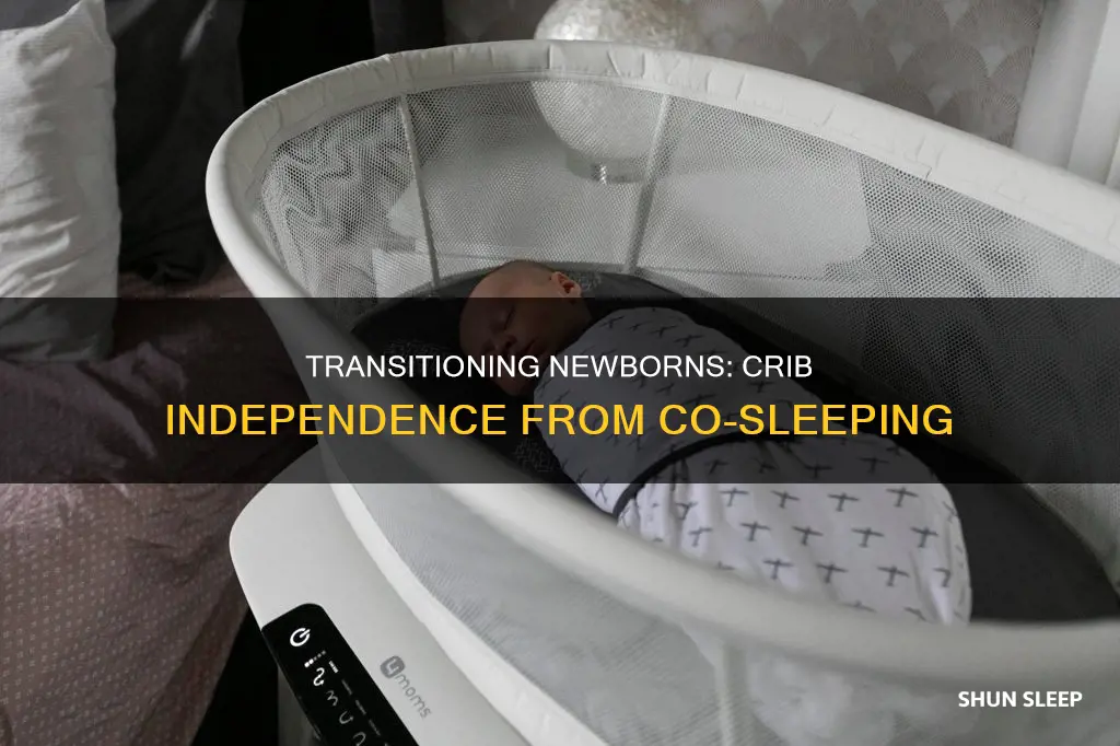 how to transition newborn from co sleeping to crib