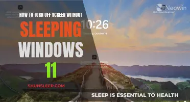Turn Off Your Windows 11 Screen Without Putting it to Sleep