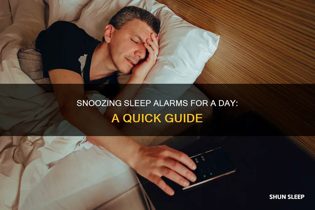 how to turn off sleep alarm for one day