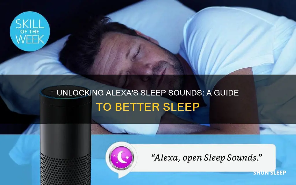 how to use alexa sleep sounds