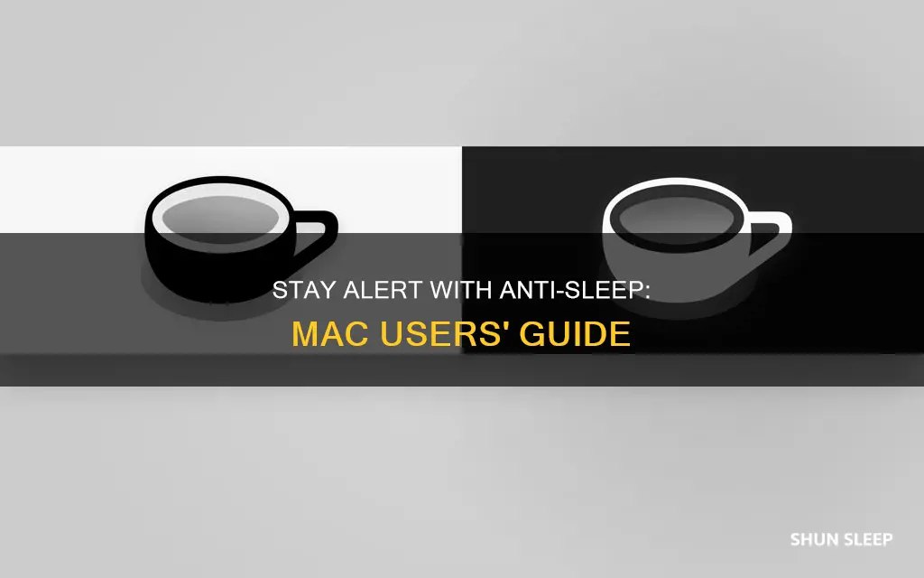 how to use anti sleep mac