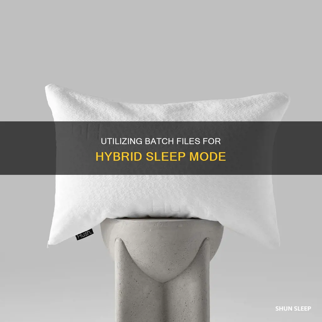 how to use batch file to hybrid sleep