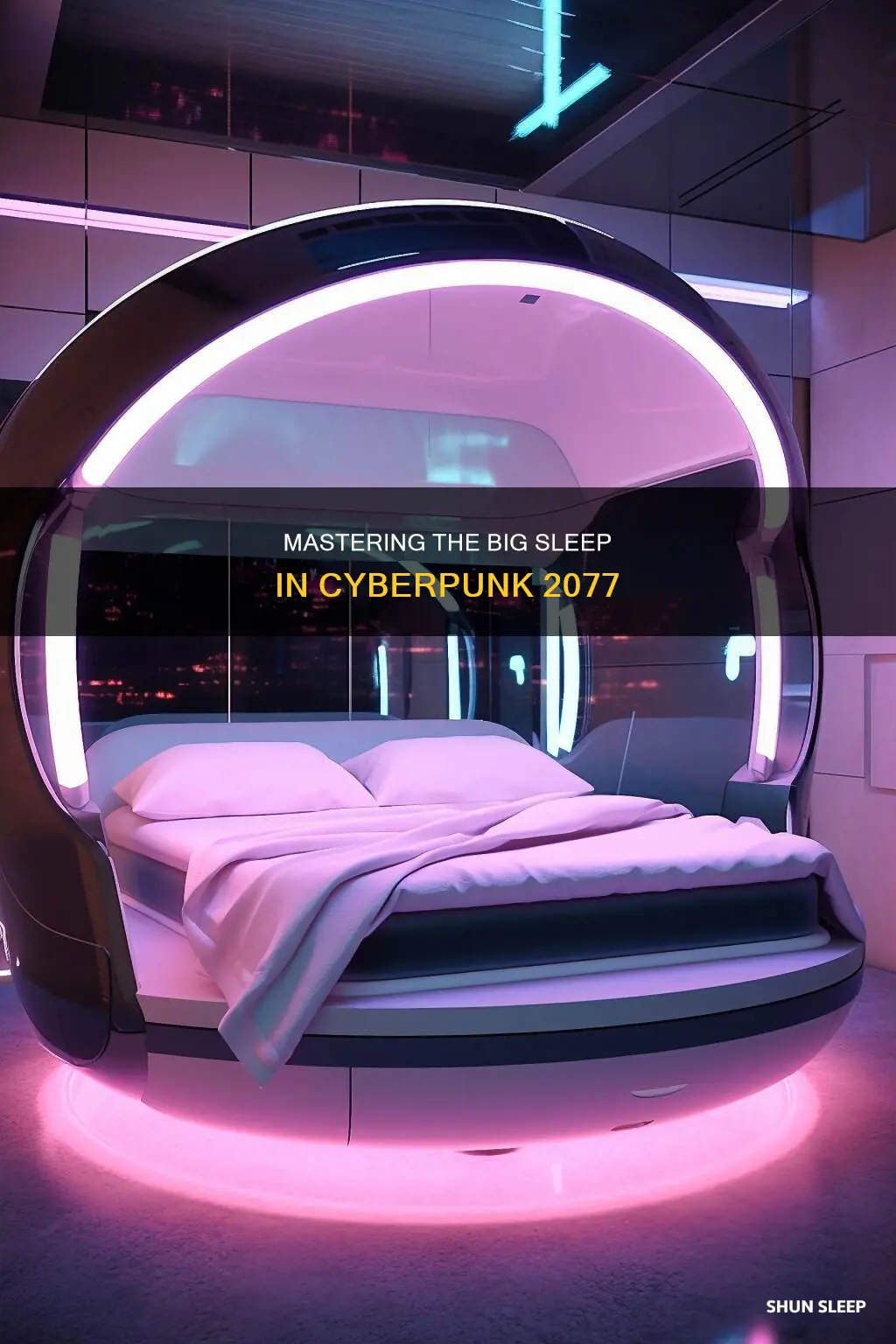 how to use big sleep cyberpunk 2077
