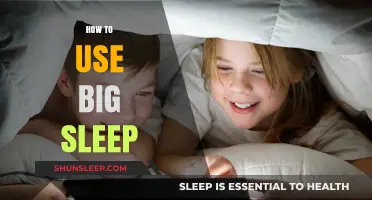 Big Sleep: A Guide to Using It Effectively