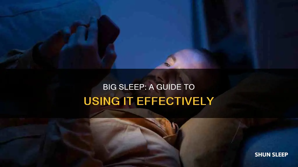 how to use big sleep