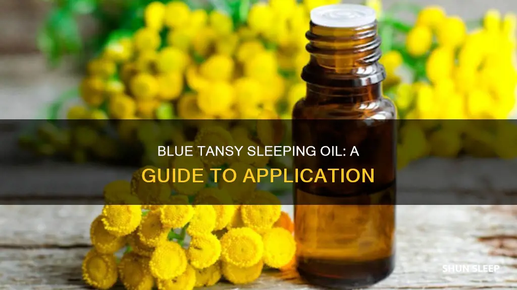 how to use blue tansy sleeping oil